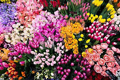 《龙腾世纪4》新爆料：非二元性别才能与所有人谈恋爱